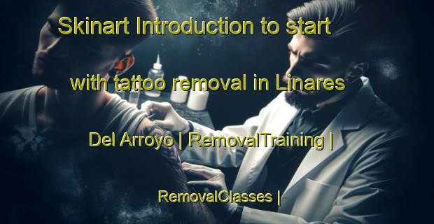 Skinart Introduction to start with tattoo removal in Linares Del Arroyo | RemovalTraining | RemovalClasses | SkinartTraining-Spain